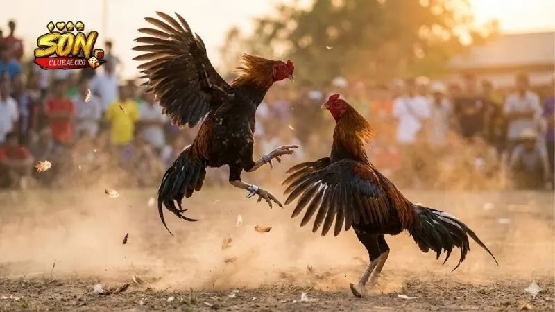 ky-thuat-chon-loc-chien-ke-dua-tren-bo-chan